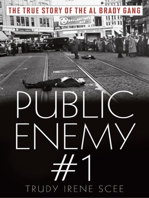 cover image of Public Enemy Number One